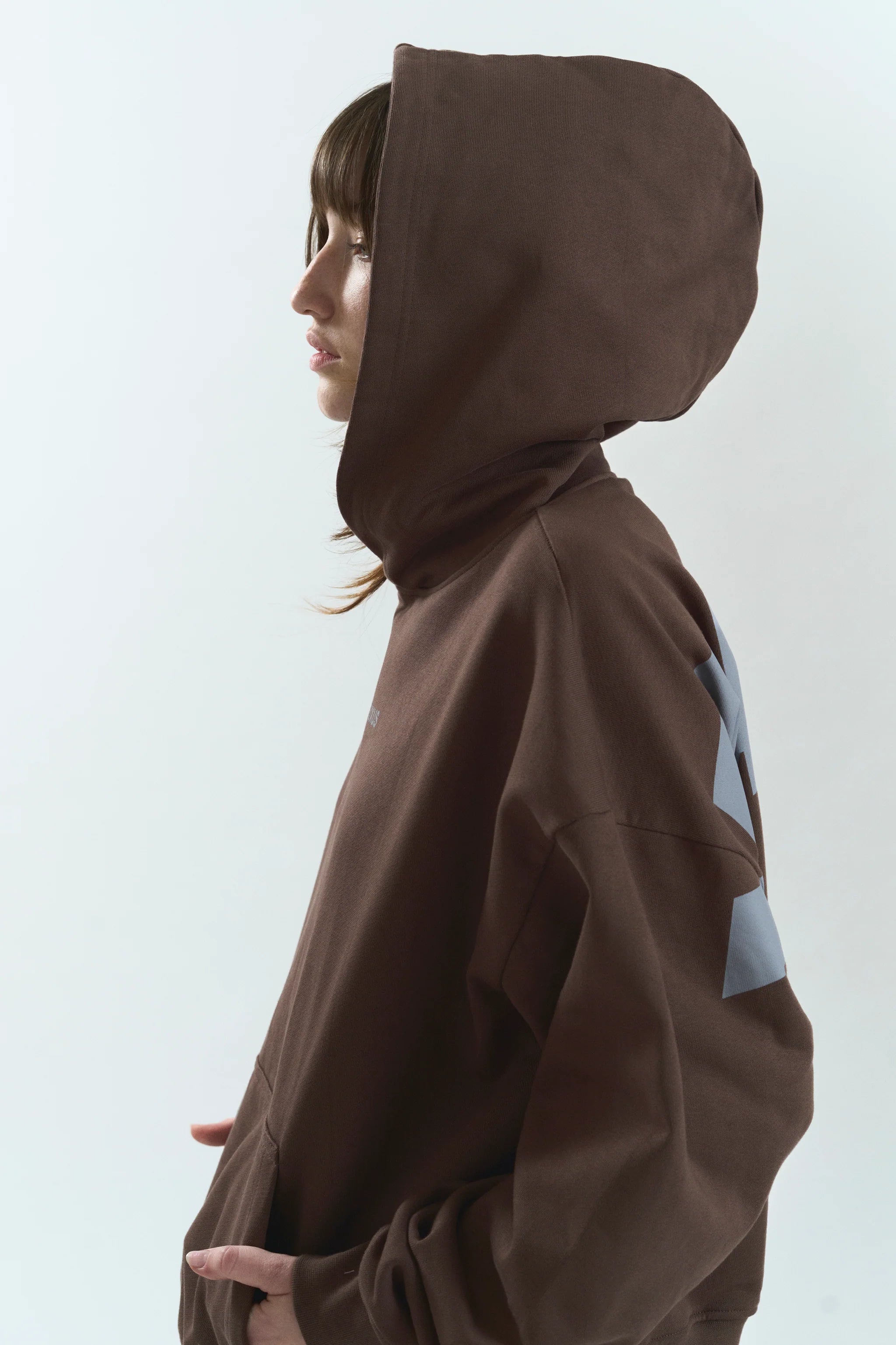 TRUFF LOWERCASE HOODIE BROWN